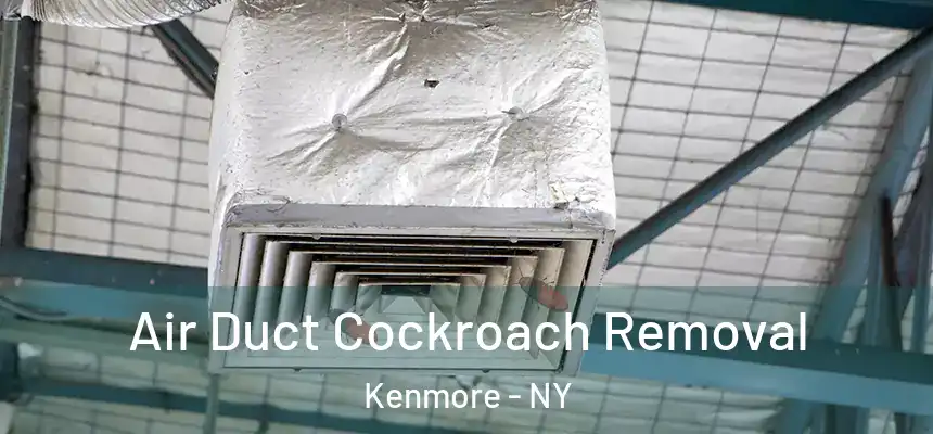  Air Duct Cockroach Removal Kenmore - NY