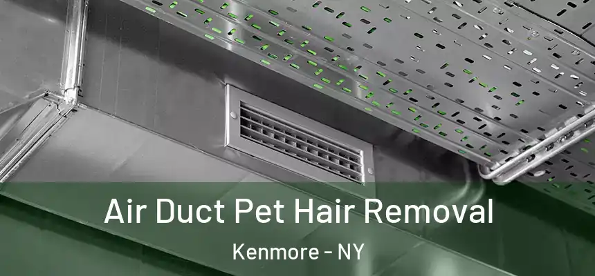  Air Duct Pet Hair Removal Kenmore - NY