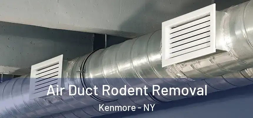  Air Duct Rodent Removal Kenmore - NY