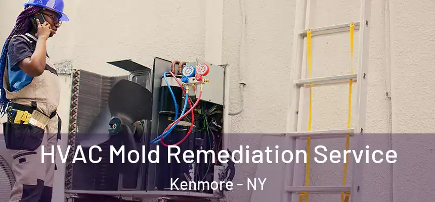  HVAC Mold Remediation Service Kenmore - NY