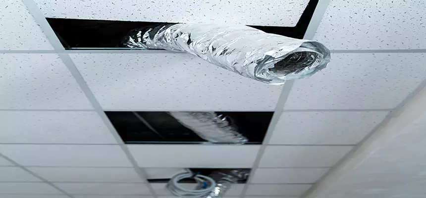 Our Air Duct Pet Hair Removal Services in Kenmore, NY