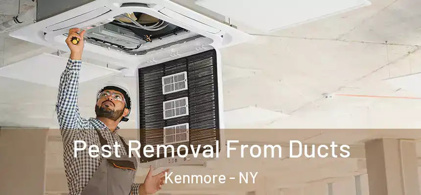  Pest Removal From Ducts Kenmore - NY