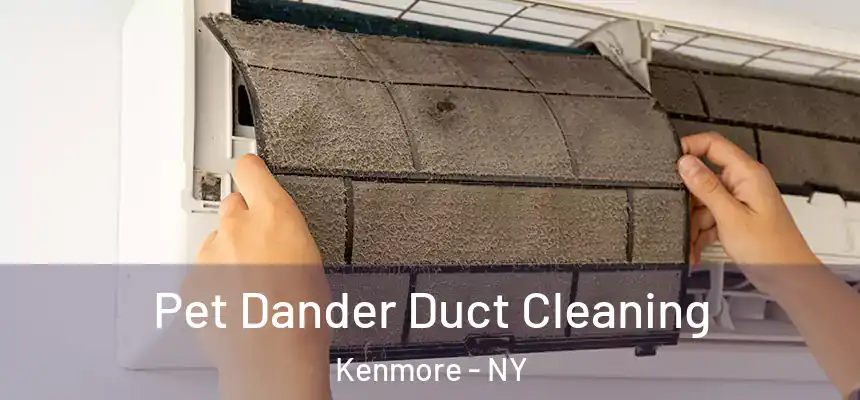  Pet Dander Duct Cleaning Kenmore - NY