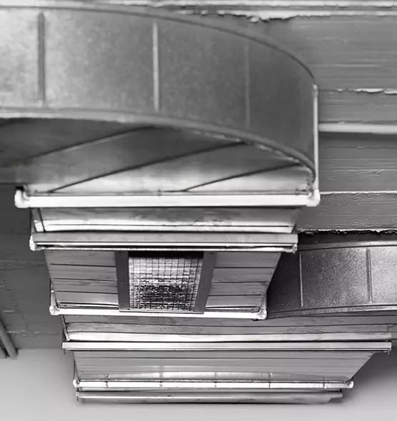 Professional Air Duct Pest Removal in Kenmore, NY