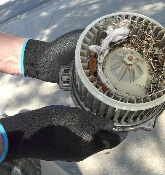 About Air Duct Rat Removal in Kenmore, NY