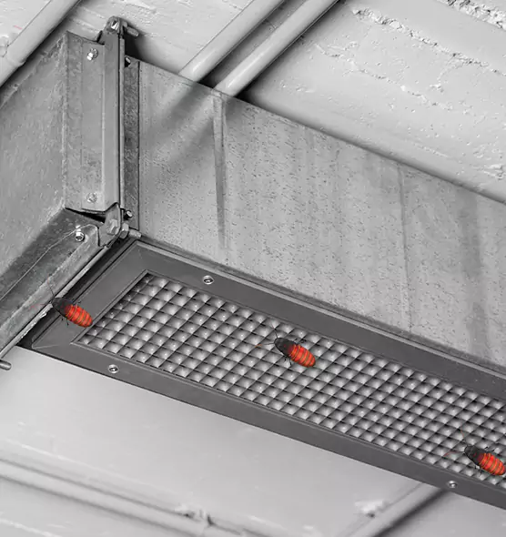 Affordable Insect Removal from Air Ducts in Kenmore, NY